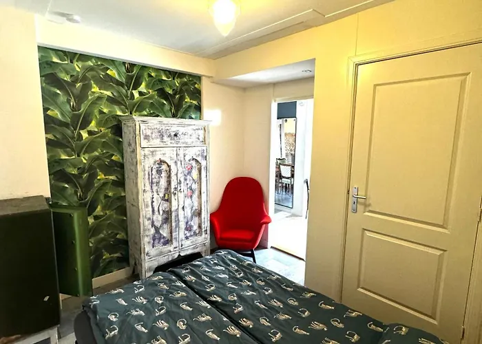 Friend Zone Daire Zaandam